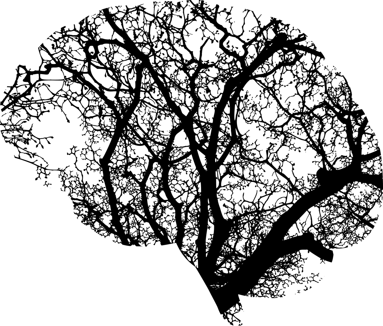 Edu-kinésiologie